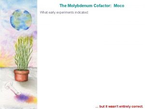The Molybdenum Cofactor Moco What early experiments indicated