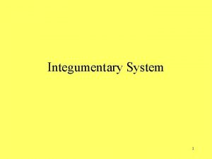 Integumentary System 1 Integumentary System Composed of several