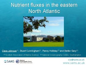 Nutrient fluxes in the eastern North Atlantic Clare