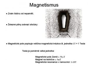 Magnetismus Znm lidstvu od nepamti elezn piliny zobraz