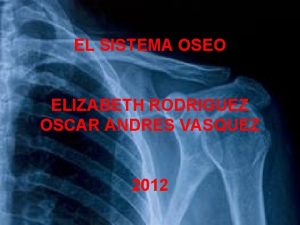 EL SISTEMA OSEO ELIZABETH RODRIGUEZ OSCAR ANDRES VASQUEZ