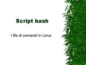 Script bash I file di comandi in Linux