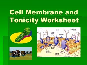 Cell Membrane and Tonicity Worksheet Composition of the