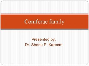 Coniferae family Presented by Dr Shenu P Kareem