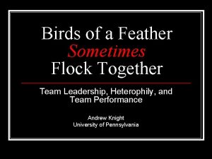 Birds of a Feather Sometimes Flock Together Team