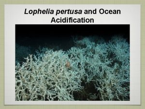 Lophelia pertusa and Ocean Acidification Part I What