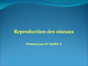 Reproduction des oiseaux Prsent par Dr Djeffal S