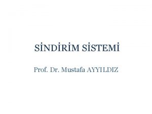 SNDRM SSTEM Prof Dr Mustafa AYYILDIZ Sindirim Kanal