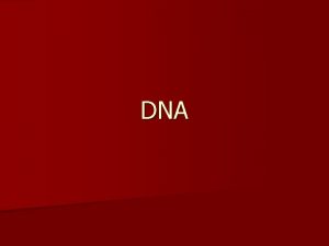 DNA Nucleic Acids n DNA and RNA are