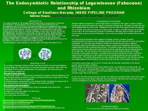 The Endosymbiotic Relationship of Leguminosae Fabaceae and Rhizobium