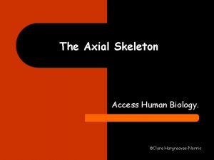 The Axial Skeleton Access Human Biology Clare HargreavesNorris