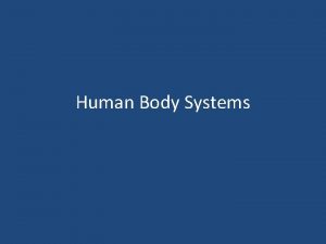 Human Body Systems Organization of the Body All