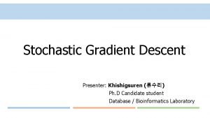 Stochastic Gradient Descent Presenter Khishigsuren Ph D Candidate