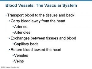 Blood Vessels The Vascular System Transport blood to