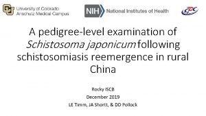 A pedigreelevel examination of Schistosoma japonicum following schistosomiasis