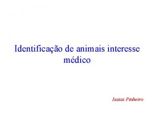 Identificao de animais interesse mdico Isaias Pinheiro 437