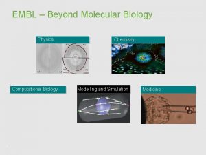 EMBL Beyond Molecular Biology Physics Computational Biology 1