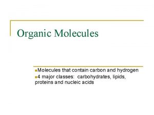 Organic Molecules n Molecules that contain carbon and