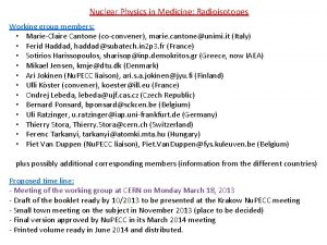 Nuclear Physics in Medicine Radioisotopes Working group members