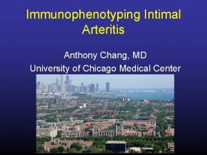 Immunophenotyping Intimal Arteritis Anthony Chang MD University of