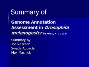 Summary of Genome Annotation Assessment in Drosophila melanogaster