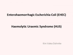 Enterohaemorrhagic Escherichia Coli EHEC Haemolytic Uraemic Syndrome HUS