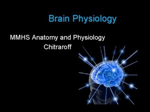 Brain Physiology MMHS Anatomy and Physiology Chitraroff I