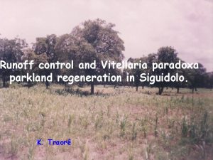 Runoff control and Vitellaria paradoxa parkland regeneration in