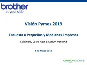 Visin Pymes 2019 Encuesta a Pequeas y Medianas