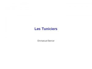 Les Tuniciers Emmanuel Bernier Les tuniciers situation phylogntique
