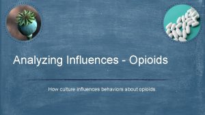 Analyzing Influences Opioids How culture influences behaviors about