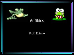 Anfbios Prof Edinho Anfbios Anfi duas bios vidas