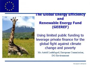 The Global Energy Efficiency and Renewable Energy Fund