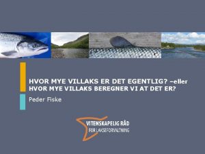 HVOR MYE VILLAKS ER DET EGENTLIG eller HVOR