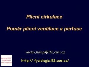 Plicn cirkulace Pomr plicn ventilace a perfuse vaclav