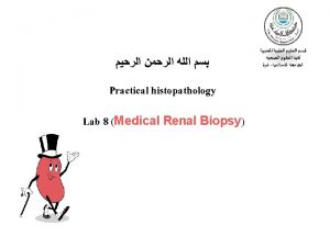 Practical histopathology Lab 8 Medical Renal Biopsy Introduction