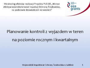 Monitoring efektw realizacji Projektu PL 0100 Wzrost efektywnoci