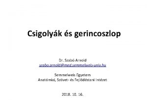 Csigolyk s gerincoszlop Dr Szab Arnold szabo arnoldmed