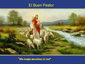 El Buen Pastor Mis ovejas escuchan mi voz