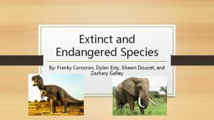 Extinct and Endangered Species By Franky Corcoran Dylan