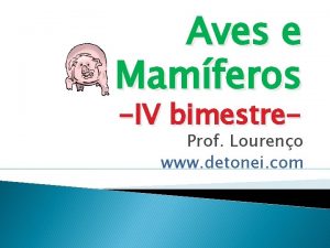 Aves e Mamferos IV bimestre Prof Loureno www