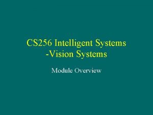 CS 256 Intelligent Systems Vision Systems Module Overview
