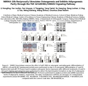 Mi RNA10 b Reciprocally Stimulates Osteogenesis and Inhibits