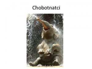 Prstochodci