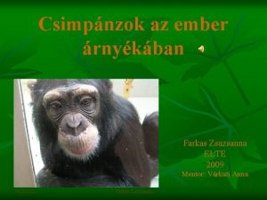 Csimpnzok az ember rnykban Farkas Zsuzsanna ELTE 2009