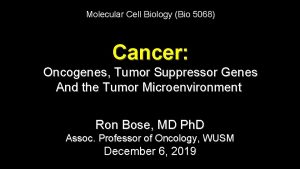 Molecular Cell Biology Bio 5068 Cancer Oncogenes Tumor