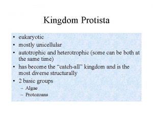 Kingdom Protista eukaryotic mostly unicellular autotrophic and heterotrophic