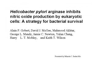 Helicobacter pylori arginase inhibits nitric oxide production by