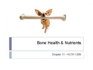 Bone Health Nutrients Chapter 11 HLTH 120 N