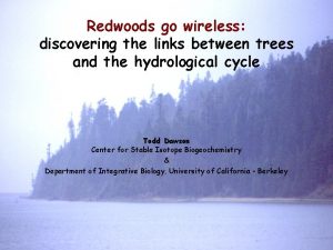 Redwoods go wireless discovering the links between trees